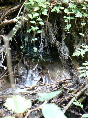 Vodeni tokovi_2008_007